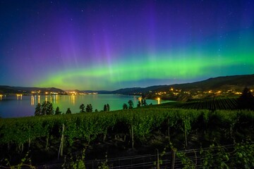 Obraz premium Image of the Northern Lights above the lake, city lights, and a green field.