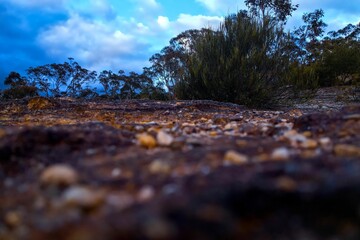 Low-angle shot of the Vibrant Quarry in Australian bushland