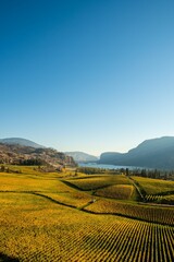 High-angle shot of the Vaseux Lake and vineyards in Okanagan Valley, British Columbia.