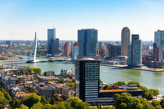 Summer Rotterdam cityscape on banks of Nieuwe Maas river with view of modern high-rise buildings and stylish Erasmus cable-stayed bridge in summer, aerial view..