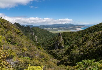 Fototapeta na wymiar Mt Hobson and forest landscape in Aotea Great Barrier Island, Aotearoa in New Zealand