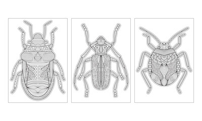 Handmade Line Art Bug Insect Theme Coloring Pages for Adults Graphic Design Template. Relaxing Page. Stress Relief Vector for Coloring.
