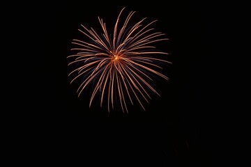 Beautiful shot of exploding colorful fireworks in a black night sky