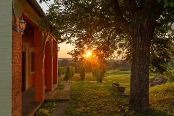 Obraz premium Sun is setting behind the trees in the yard of a house