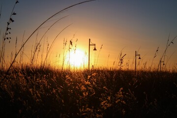 Obraz na płótnie Canvas Landscape view of a field at sunset
