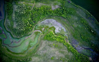 Drone shot of the green vegetation on the banks of a dried river during daytime © Nicusor Golgojan/Wirestock Creators