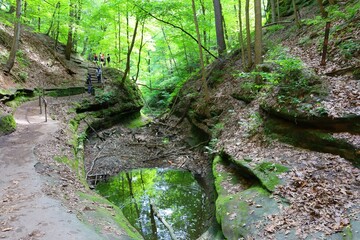 Obraz premium The Starved Rock State Park with a small a puddle in the forest surrounded by trees in Illinois, US