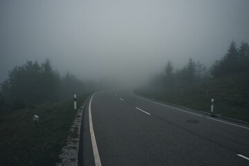 Long and narrow rural road leading to the foggy forest