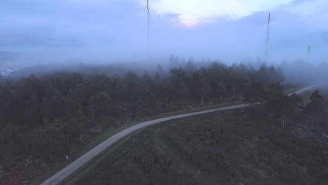 Aerial shot of the Antennas of Montefaro between the fir trees on a foggy day in Mugardos, Ferrol