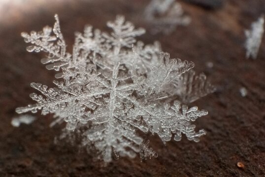 Macro Shot Of A Snow Flake On A Wooden Background