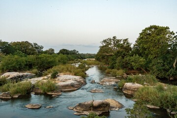 Beautiful view of a river with stones and bushes under the clear sky
