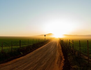 Beautiful view of a road in an agricultural field under the clear sky during sunrise