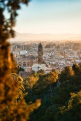 Vertical shot of the cityscape of Malaga from the trees at sunset, Spain.