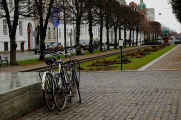 Bicycles parked at the street