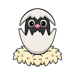 Cute mauve gray masked lovebird cartoon inside from egg