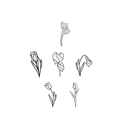 Flower Collection Logo