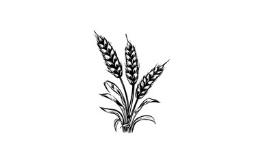 WHEAT shape isolated illustration with black and white style.

