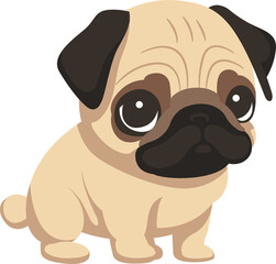 Cute pug baby dog