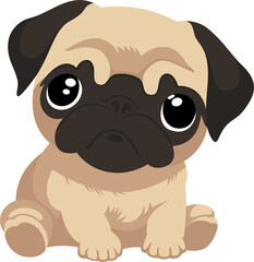 Cute pug baby dog
