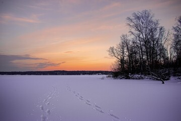 Landscape view of the feet traces on snowy field with deciduous trees at sunset