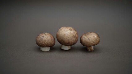 Fototapeta premium Closeup of three raw Agaricus bisporus mushrooms on the dark blurred background