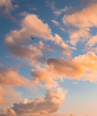 Vertical shot of an airplane flying under a blue cloudy sky during the sunset