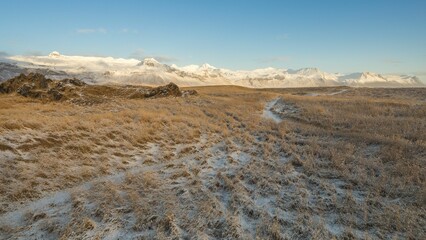Field with snow-covered mountains in the background during the daytime
