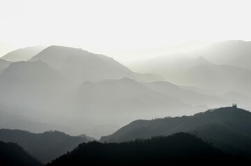 Grayscale shot of the mountains covered with trees on a foggy day
