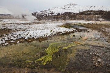 Landscape of a wetland covered in snow and fog