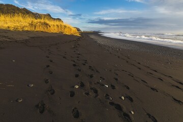 Footprints on a wet sandy beach during the daytime