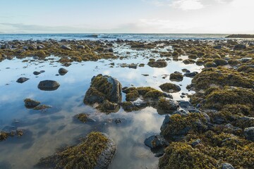 Landscape of a water surrounded by rocks