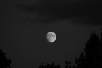 Fototapeta na wymiar Beautiful view of a full moon in the dark sky over the field