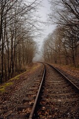 Fototapeta premium Vertical shot of train rails in a forest on a foggy day