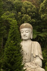 Vertical shot of a Buddha Statue surrounded by bright trees, Malaysia