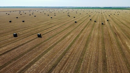 High-angle of a yellow field of straw bales in Serbia, cloudy sky background