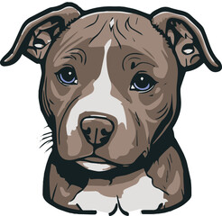 Vector illustration of a cute dog on the white background