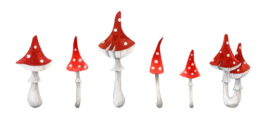 Fototapeta na wymiar Forest mushroom cartoon style painted set. Watercolor illustration. Hand drawn poison toadstool collection. Red big fly agaric with white spots on cap element. Halloween decor. White background