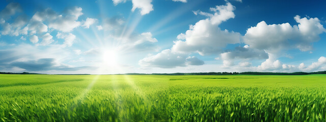 Obraz na płótnie Canvas Panorama of green field and blue sky in sunlight. Panoramic natural landscape background wallpaper. Generative AI.