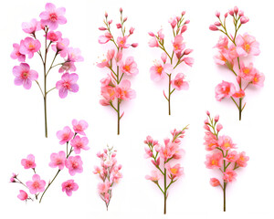 Obraz na płótnie Canvas Pink flowers isolated in white background. Generative AI.