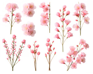 Pink flowers isolated in white background. Generative AI.