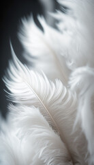 abstract white feather background. made with generative AI