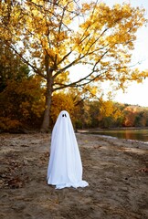 a white ghost on the beach, looking down at the water