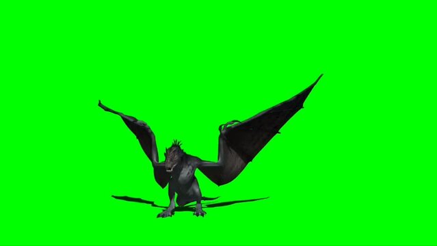3D rendered animation of a flying dragon breathing air isolated on the empty green background