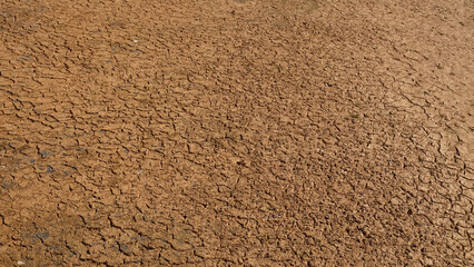Concept of Disaster Preparedness for Drought: Dry Pond Revealing Cracked Ground
