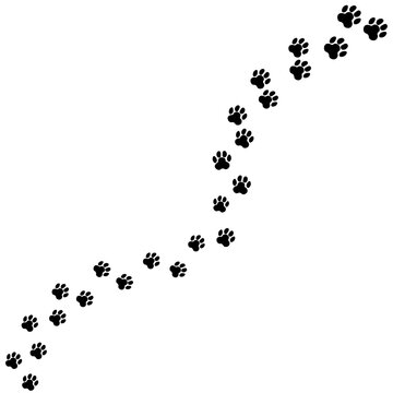recommend clip art: black and white animal dog feet on white transparent background PNG file 03