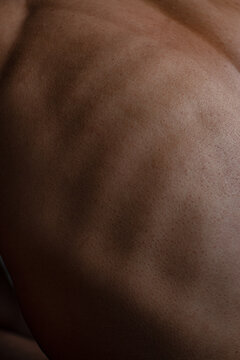 Ribs Form And Real Skin Texture Close-Up