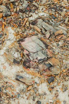 Close up Rock in Ode