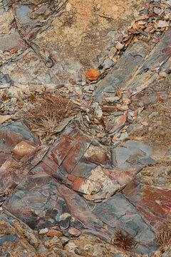 Close up Rock in Ode