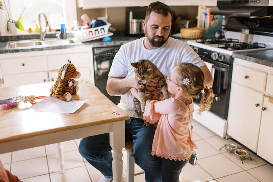 Cute happy toddler girl holding up her pet cat at home in kitchen