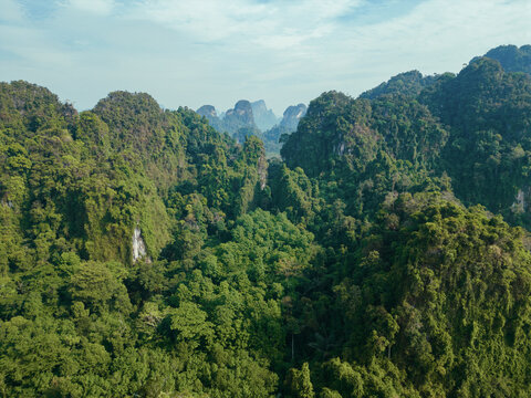 Aerial view of lush green rainforest  